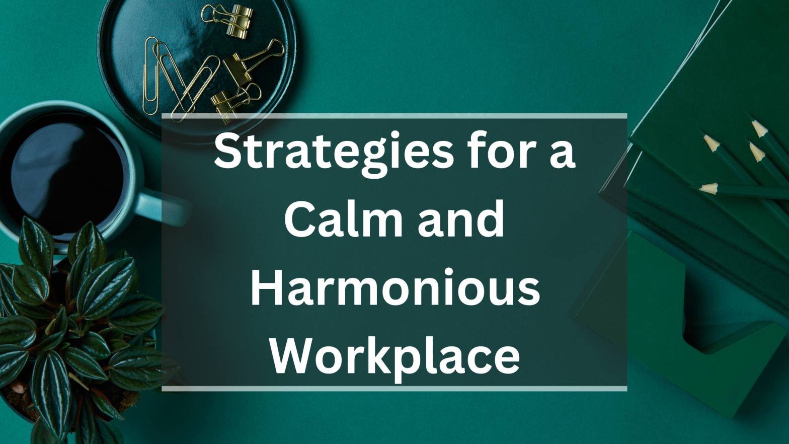 Strategies for a calm and harmonious workplace